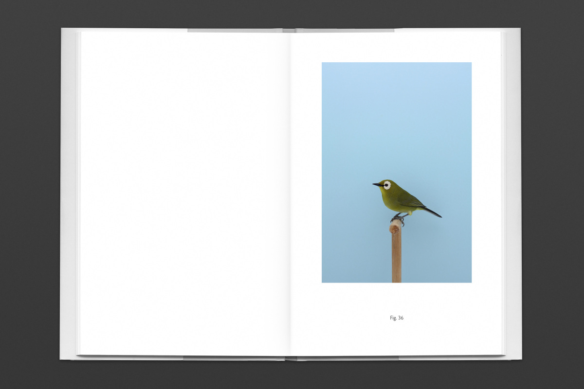 Incomplete Dictionary