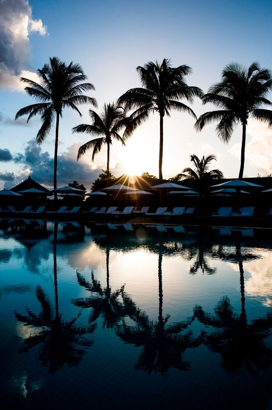 Parrot Cay Turks and Caicos