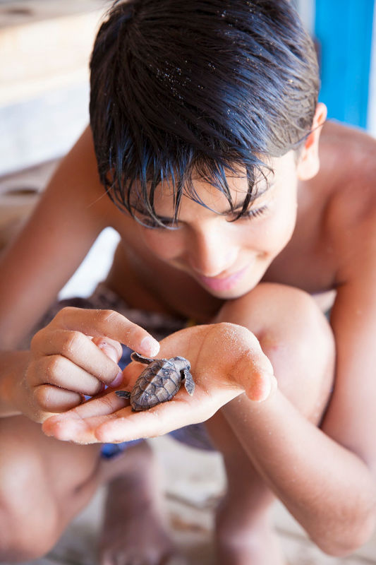 Nihiwatu Resort, Indonesia