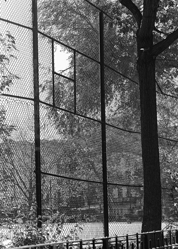 Tompkins Square Park