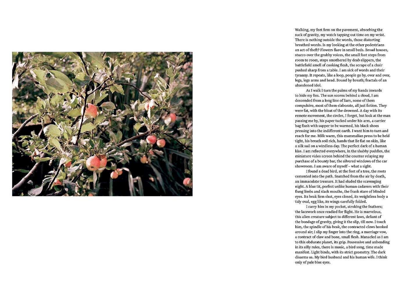 ‘We Are Only Humans’