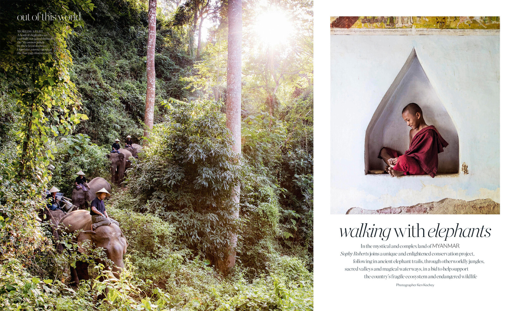 Porter Magazine, Walking with Elephants