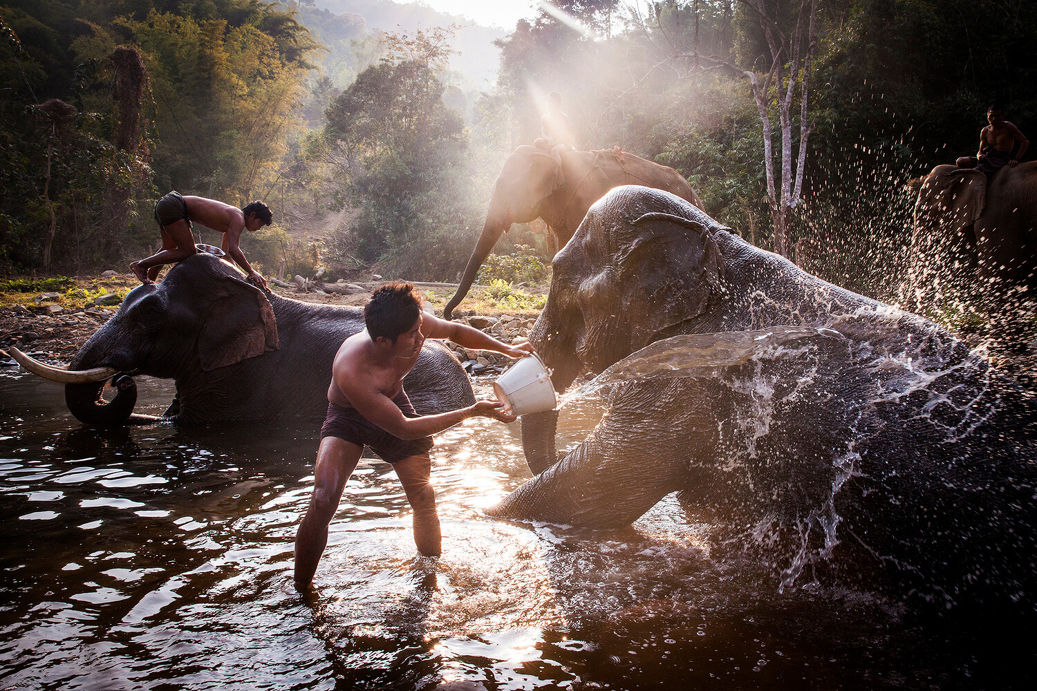 Porter Magazine, Walking with Elephants