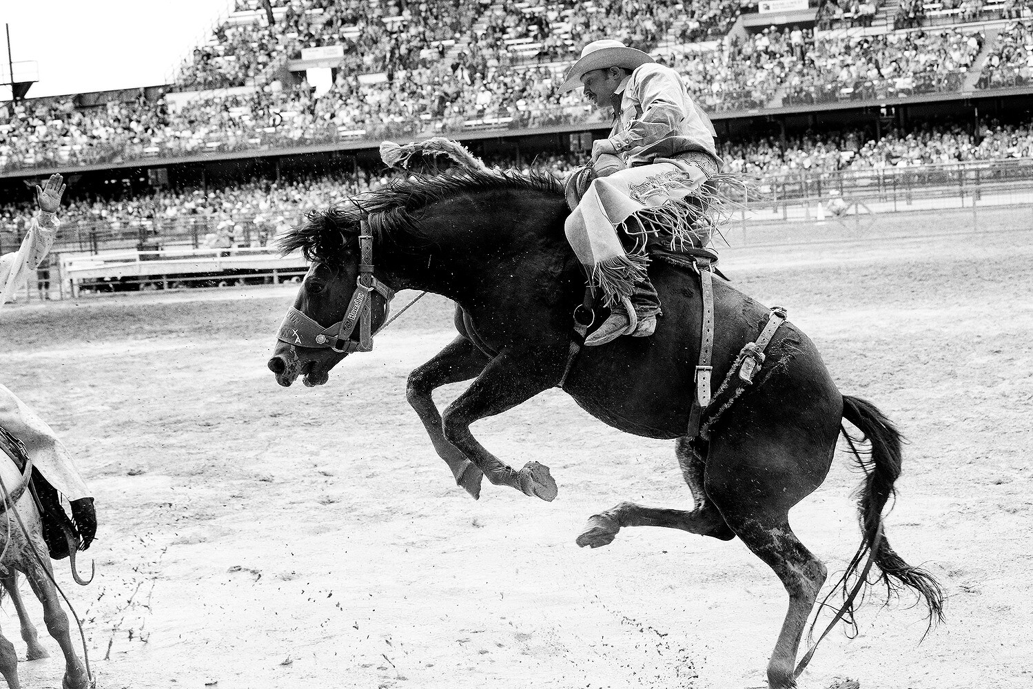 Cheyenne Frontier Days 