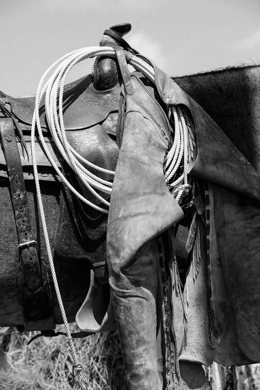 Cheyenne Frontier Days 