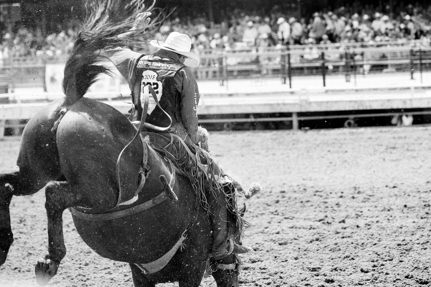 Cheyenne Frontier Days 