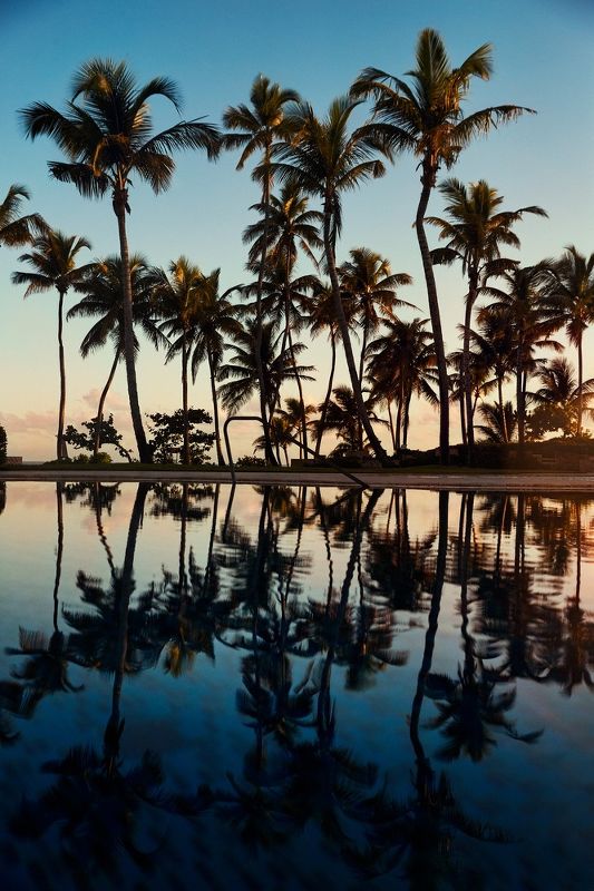 Ritz-Carlton