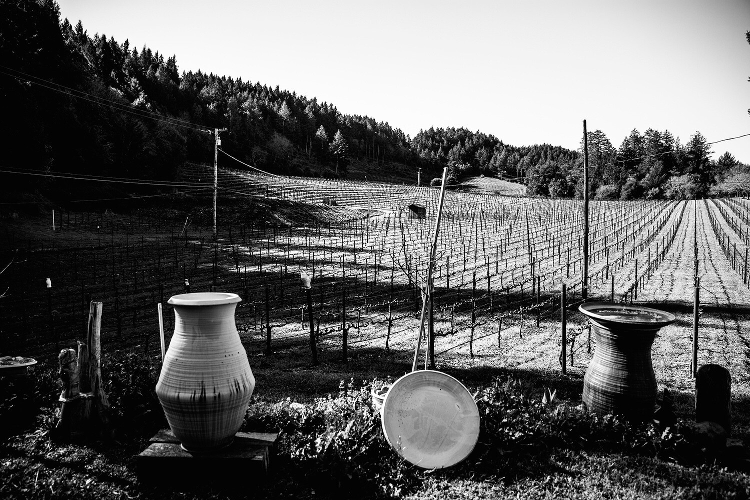 Meadowood – Napa Valley Cookbook