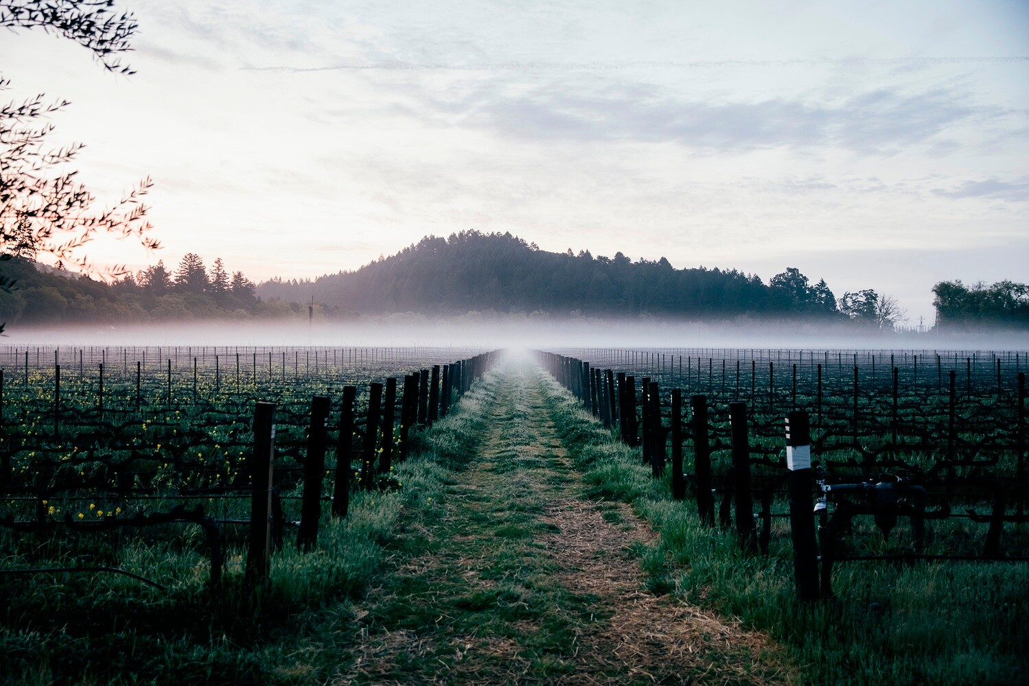 Meadowood – Napa Valley Cookbook