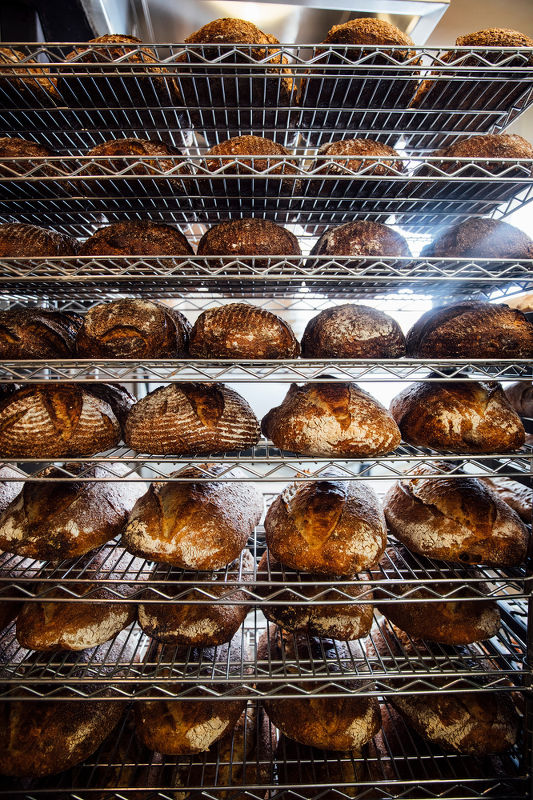 Cheers to the Publican