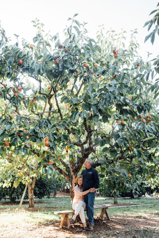 Cheers to the Publican