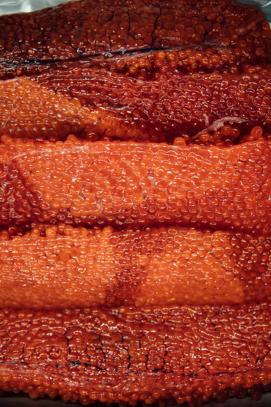 Cheers to the Publican