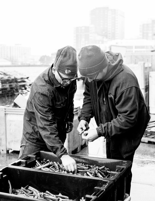 Cheers to the Publican