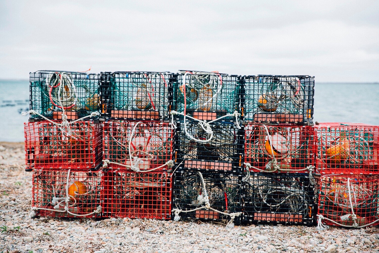 Cheers to the Publican