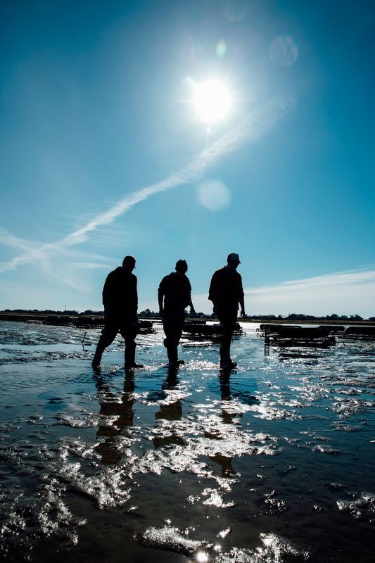 Cheers to the Publican