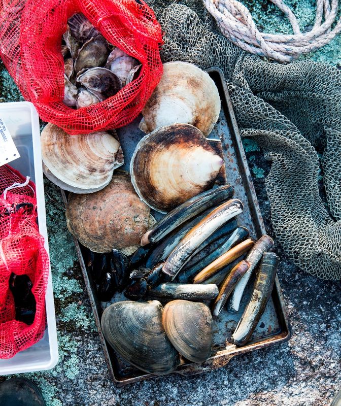 Cheers to the Publican