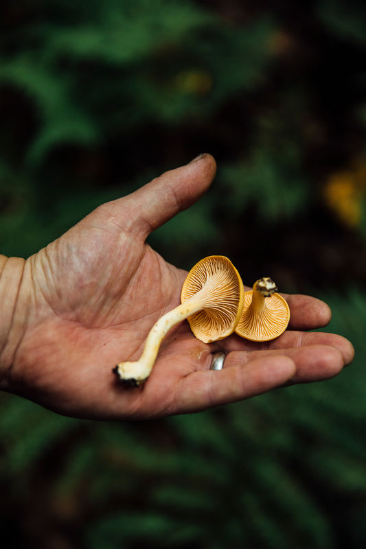 Cooking For Good Times