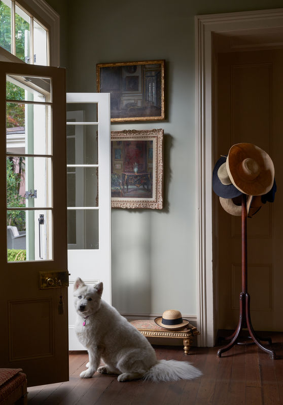Patrick Dunne Interiors