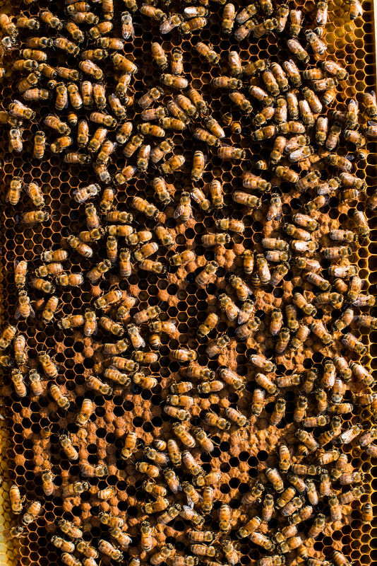 Meadowood – Napa Valley Cookbook