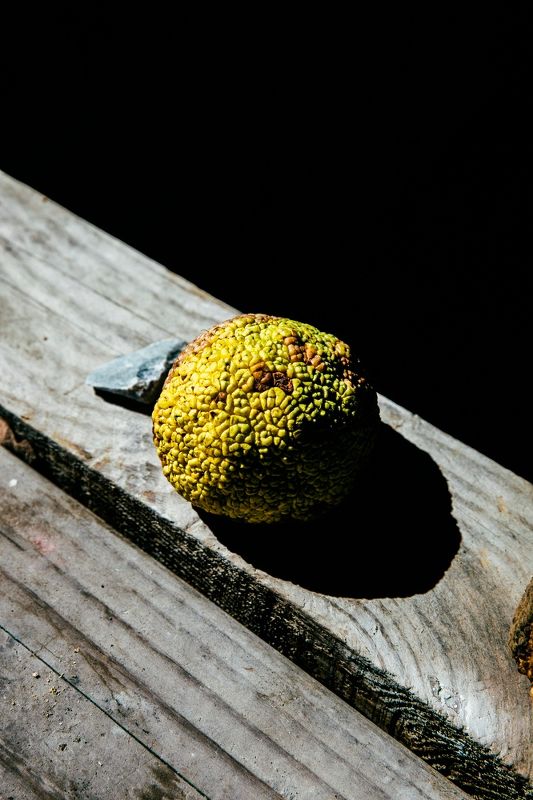 Meadowood – Napa Valley Cookbook