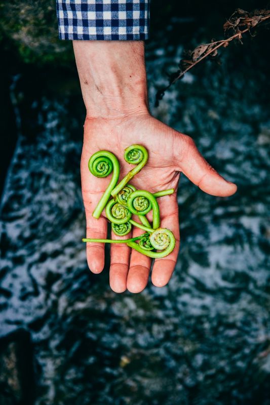 Meadowood – Napa Valley Cookbook