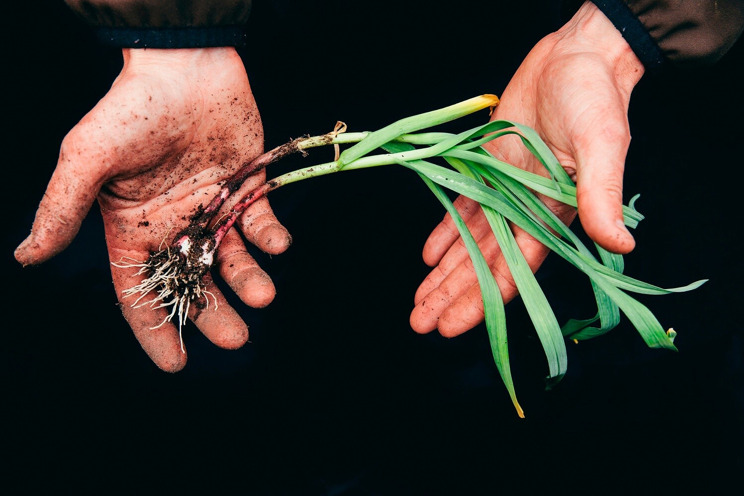 Meadowood – Napa Valley Cookbook