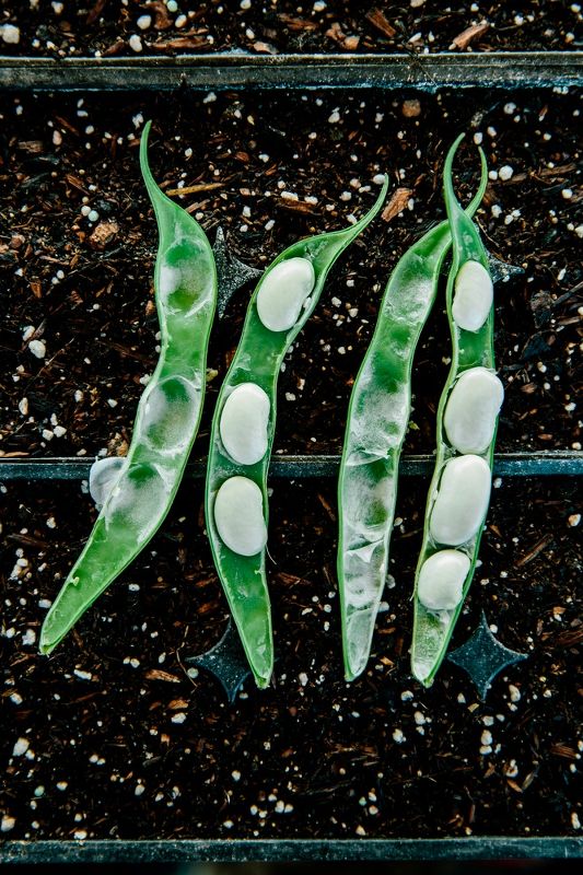 Meadowood – Napa Valley Cookbook