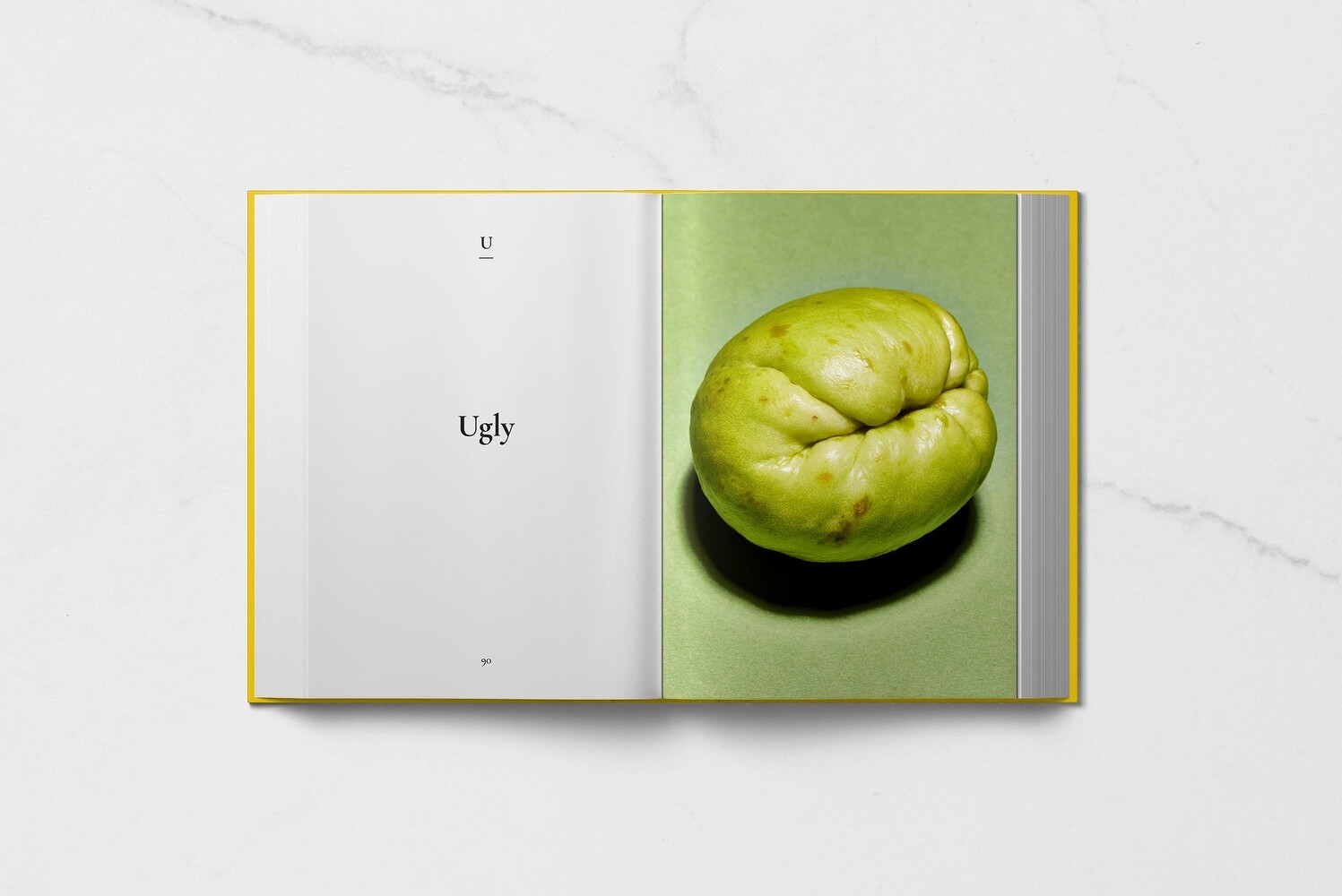 The Food Styling Encyclopedia