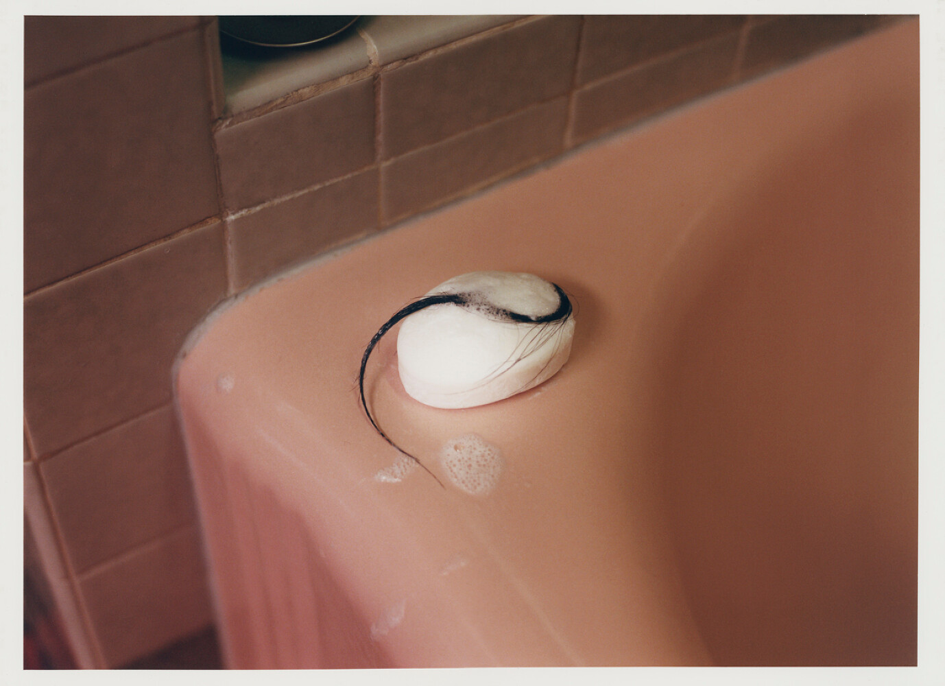 Chaetophobia, Nowness x Dazed Beauty