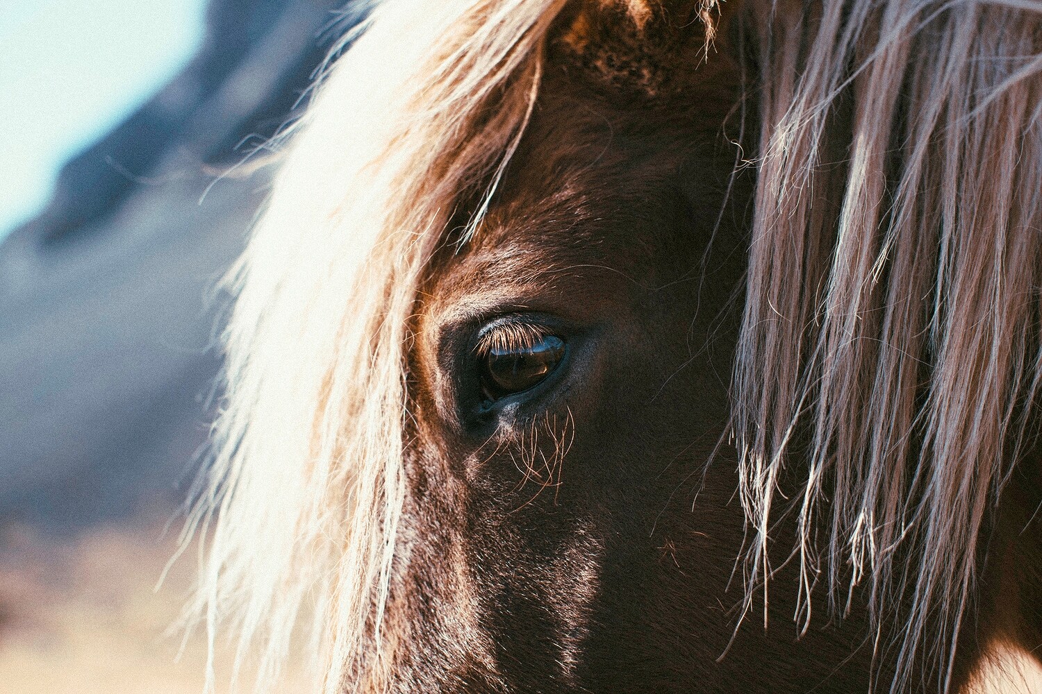 Somewhere North of Here