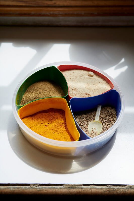 A Modest Living : Memoirs of a Cockney Sikh