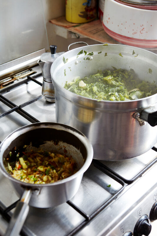 A Modest Living : Memoirs of a Cockney Sikh