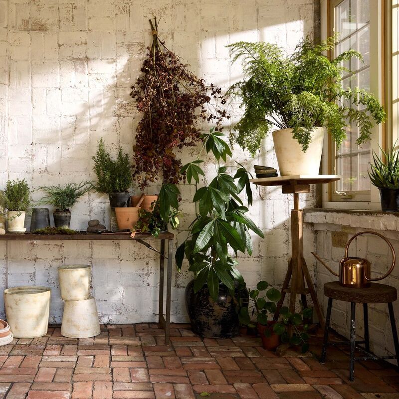 Bloomist – Home
