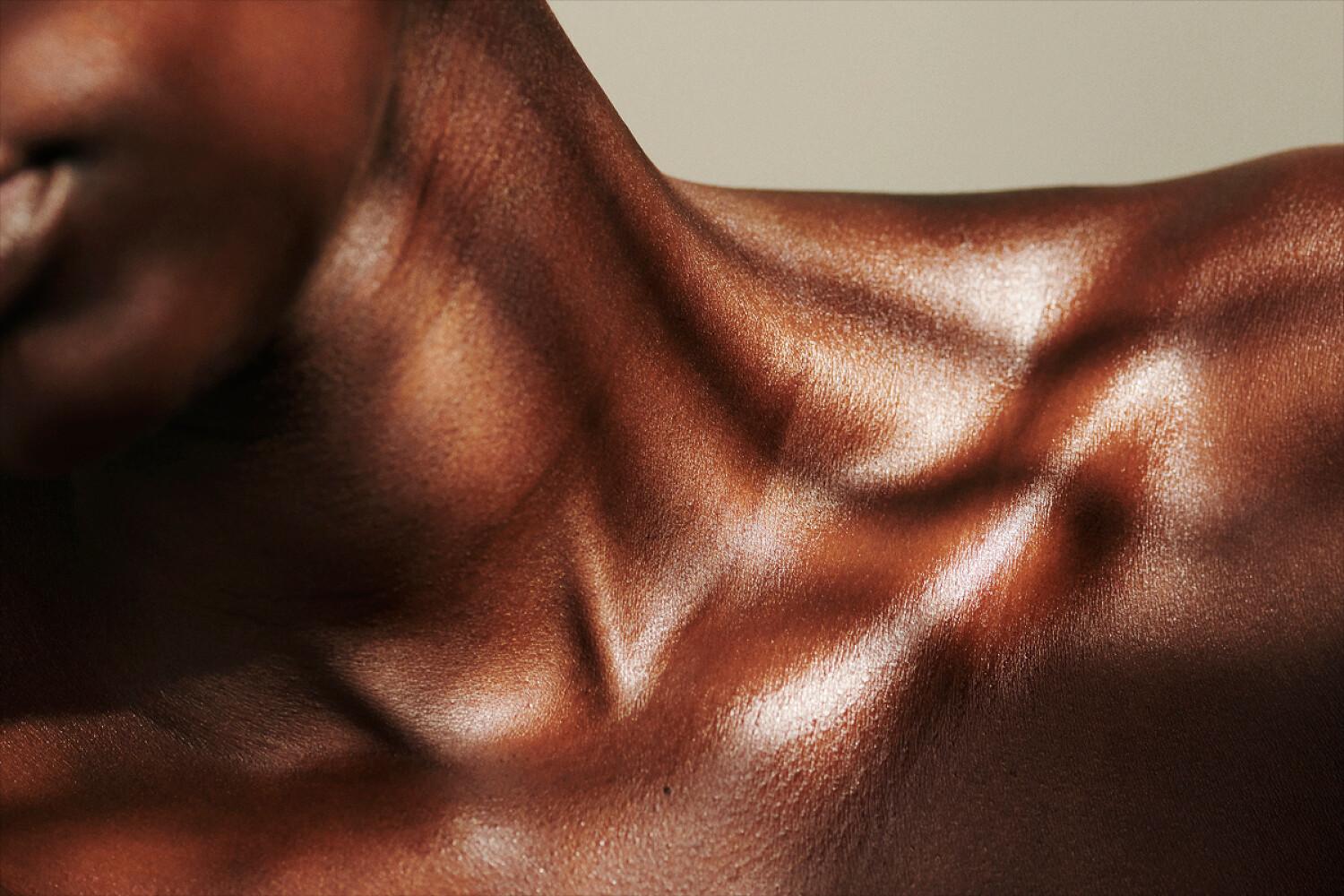 CVS One + Other 2022