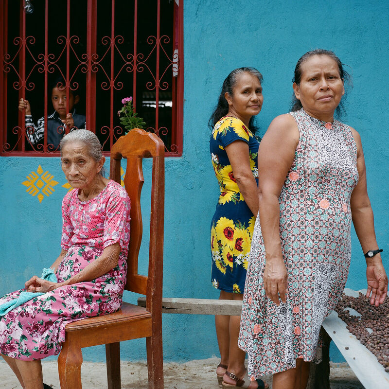 Not Bored Coffee Farmers