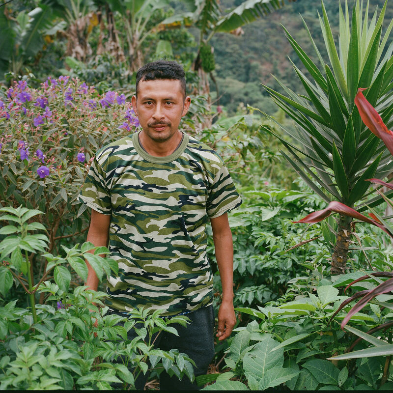 Not Bored Coffee Farmers