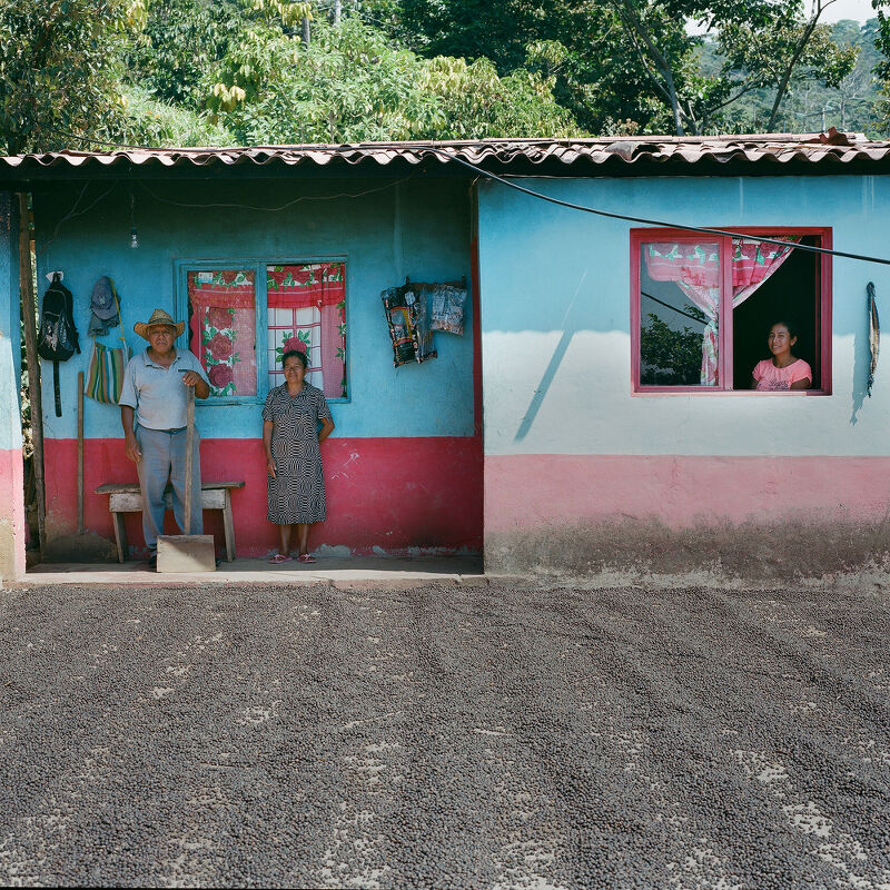 Not Bored Coffee Farmers