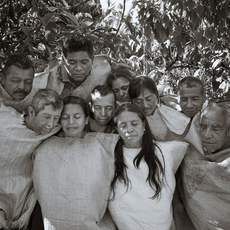 Not Bored Coffee Farmers