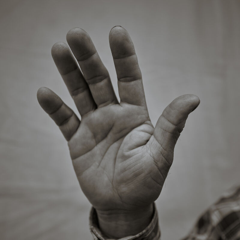 Not Bored Coffee Farmers