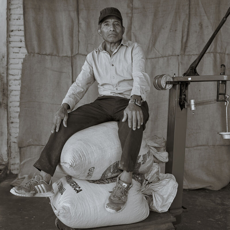 Not Bored Coffee Farmers