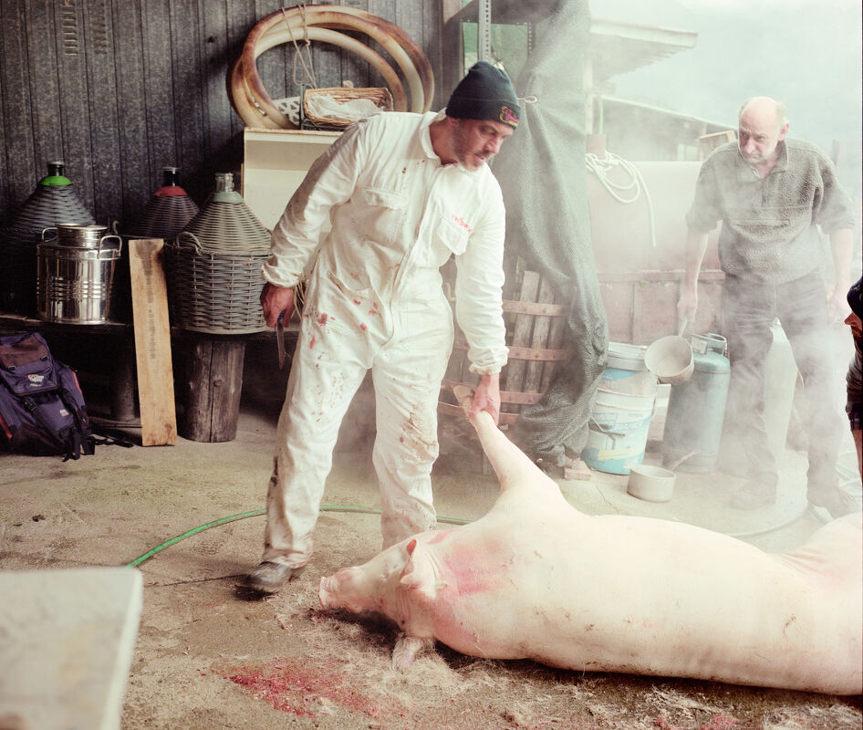 In Cerca della Retta Via