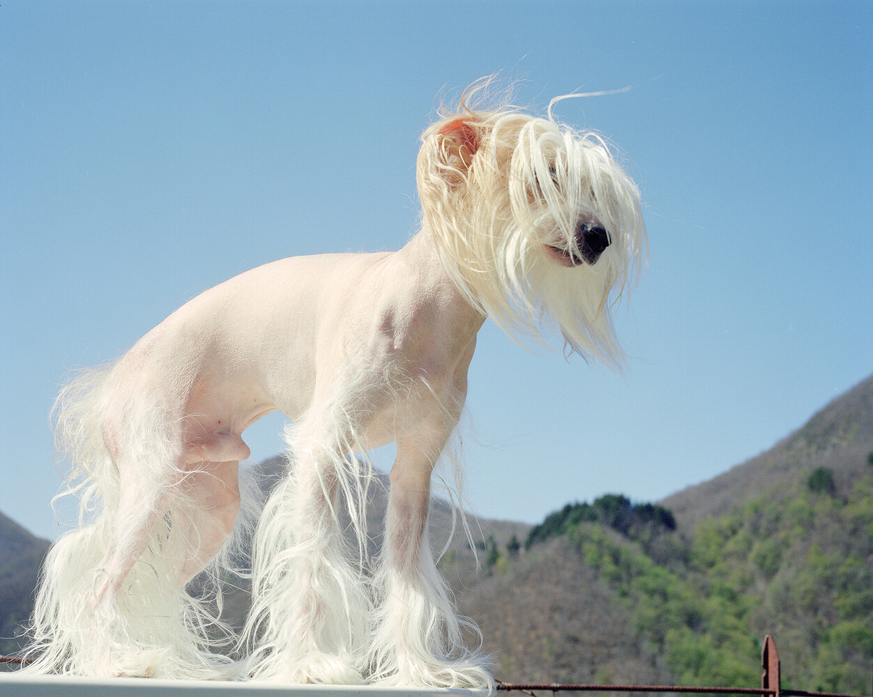 In Cerca della Retta Via