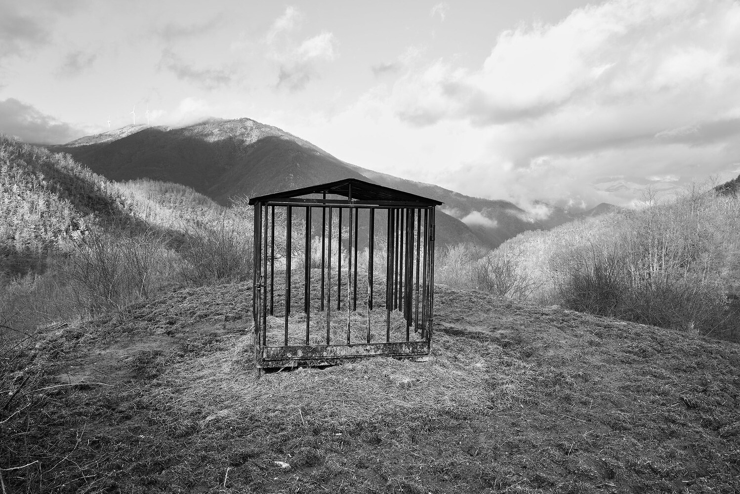 In Cerca della Retta Via