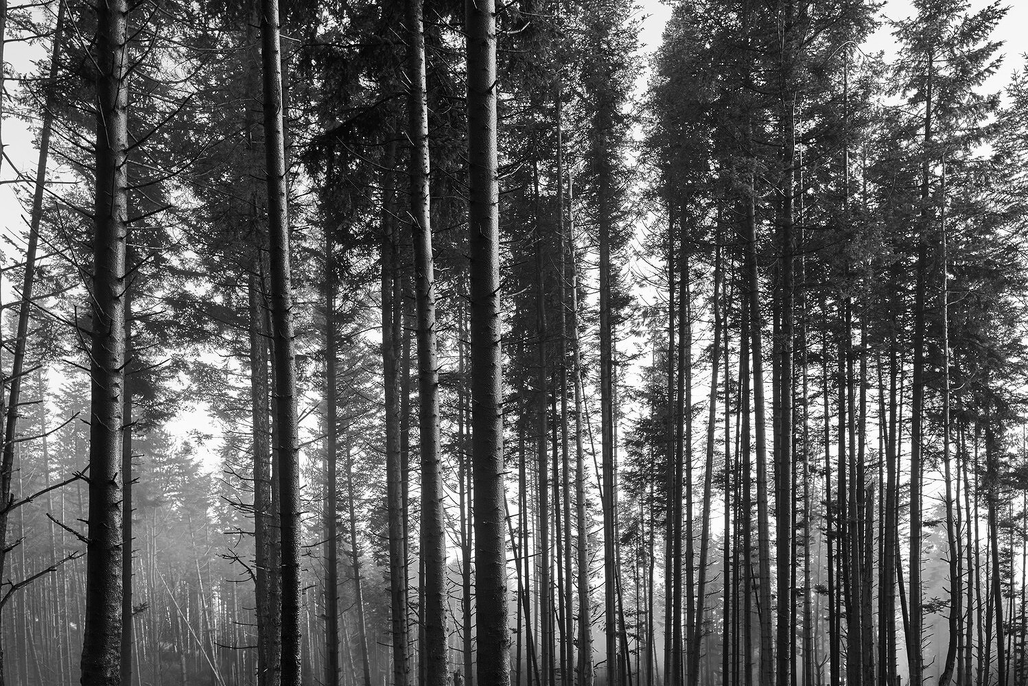 In Cerca della Retta Via