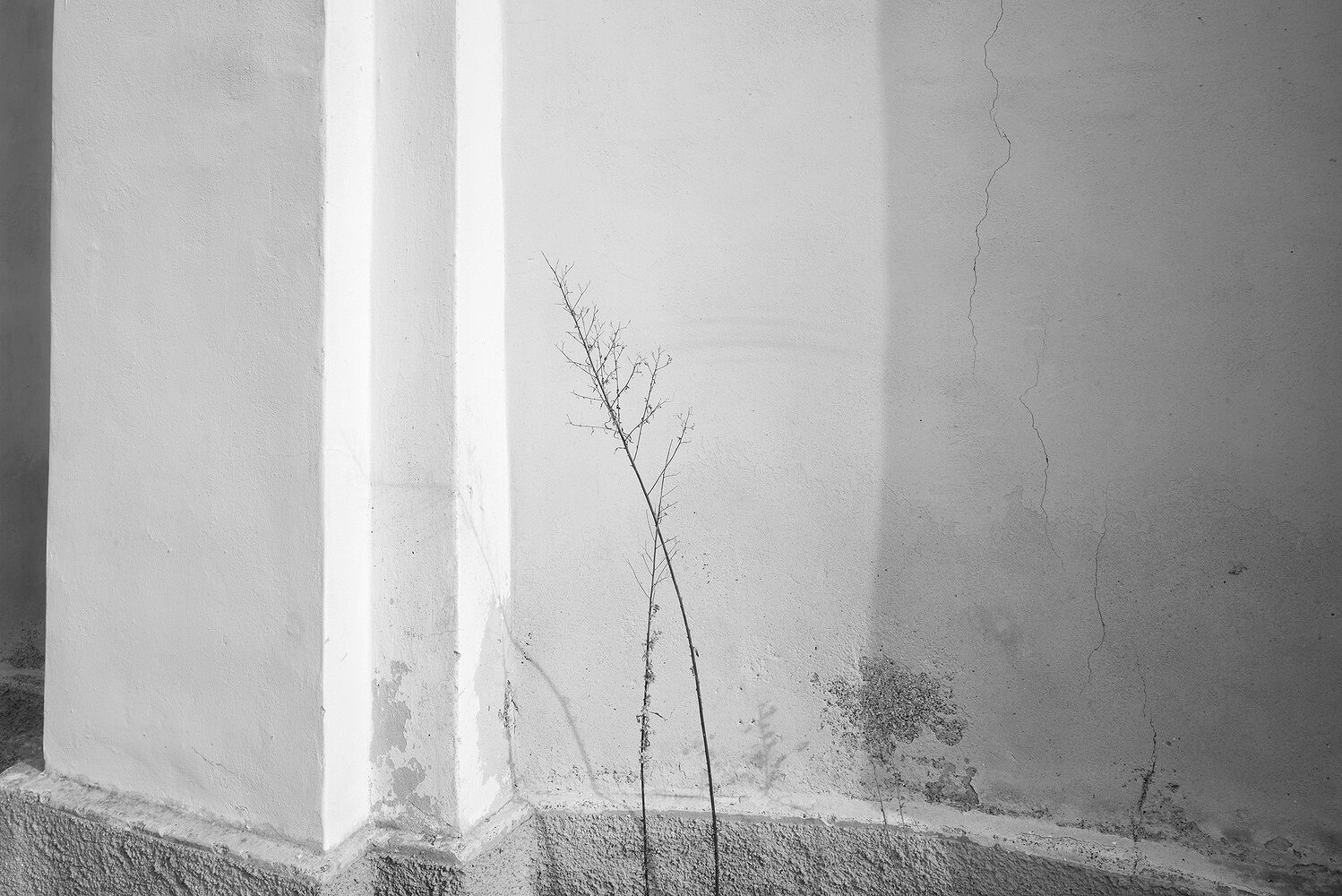 In Cerca della Retta Via