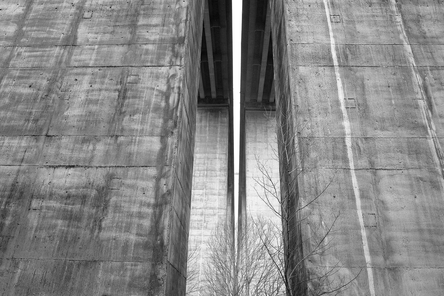 In Cerca della Retta Via