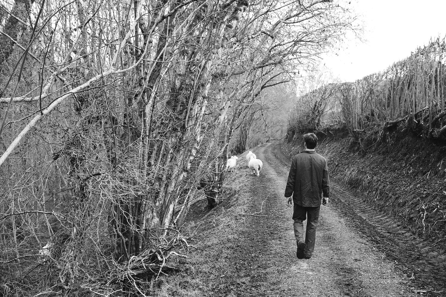 Harry & Sue Rich, Happify