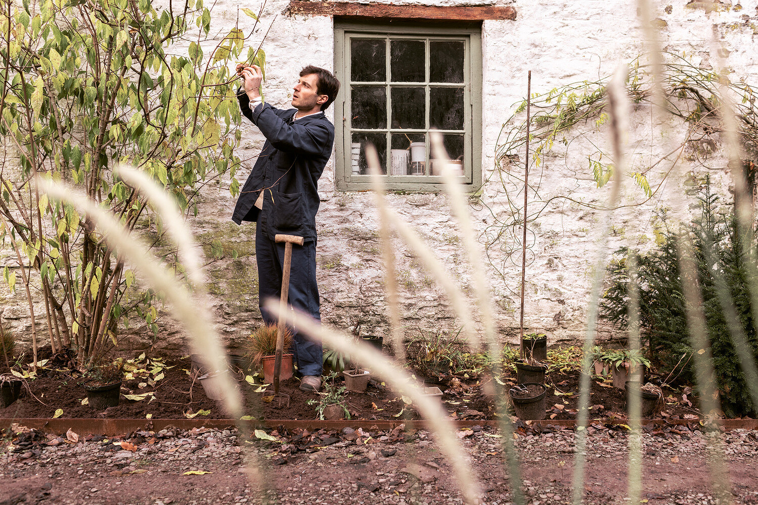 Harry & Sue Rich, Happify