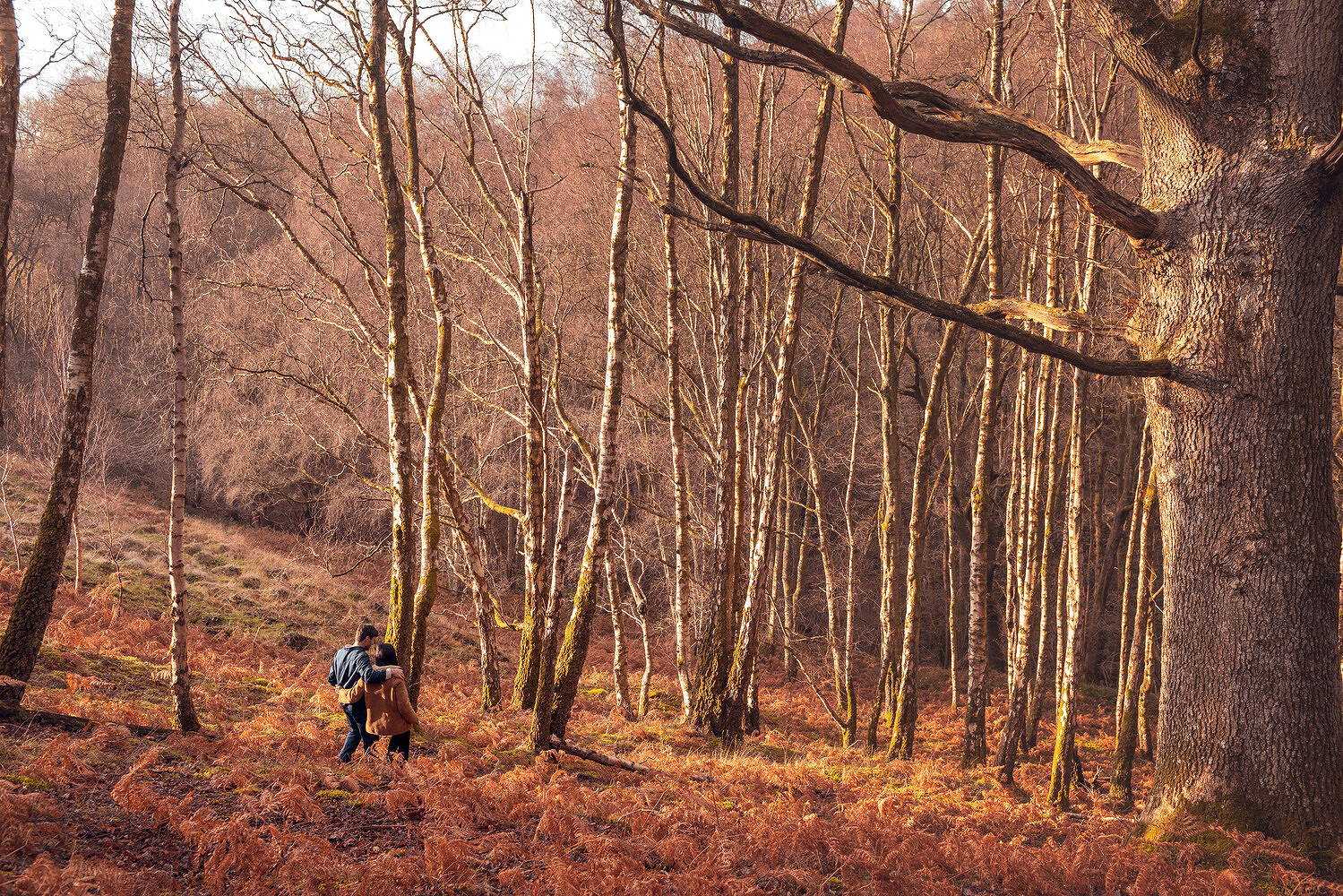 Harry & Sue Rich, Happify