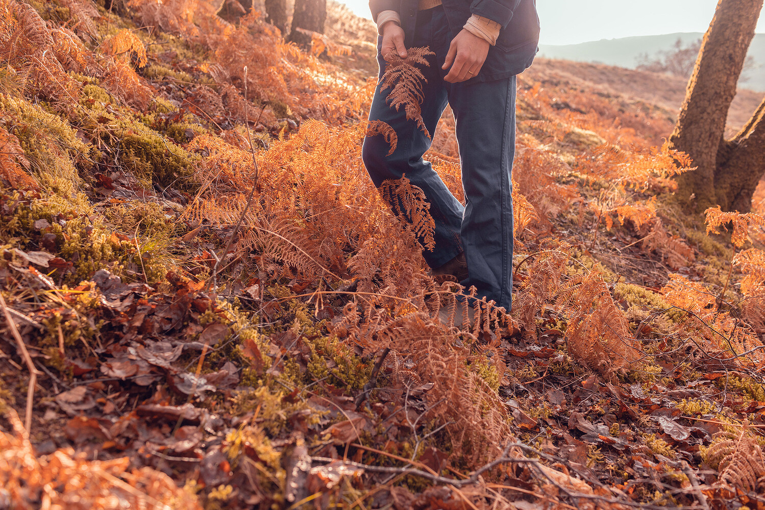 Harry & Sue Rich, Happify